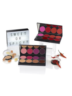 paleta labiales labios mehron bilbao comprar españa